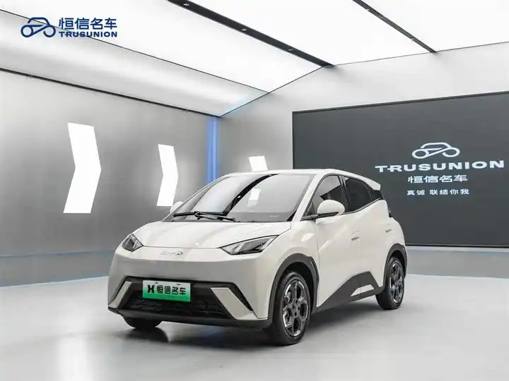 Seagull 2024 Pride Edition 305km Freedom Edition