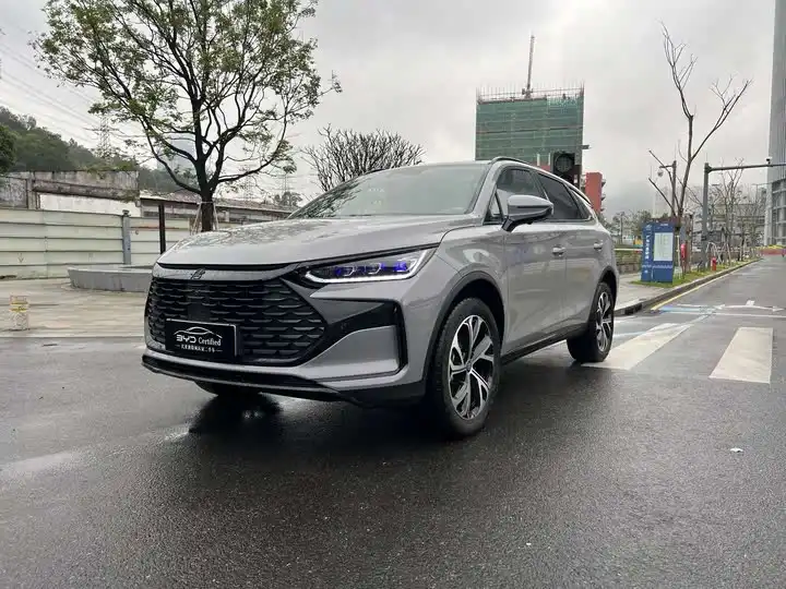 Tang New Energy 2025 DM-i 115KM Cloud Van Flagship