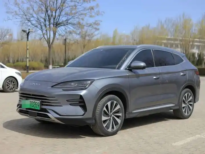Song PLUS New Energy 2023 Champion Edition DM-i 110KM Signature PLUS