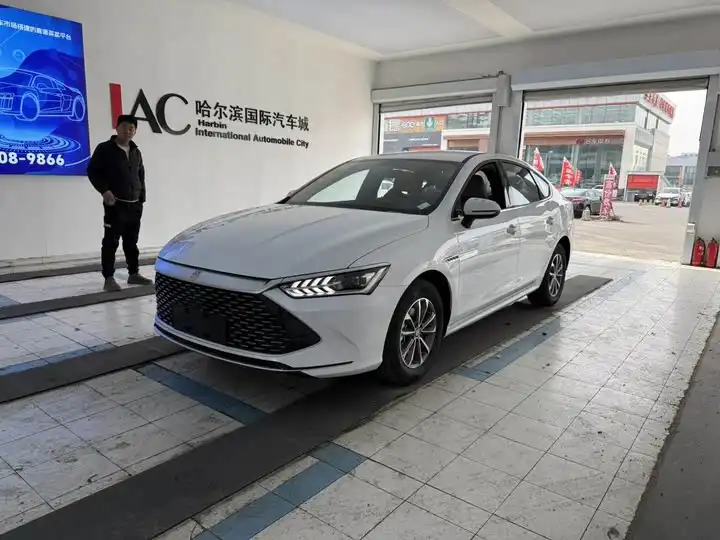 QIN PLUS 2024 Glorious Edition DM-i 55KM LEADER