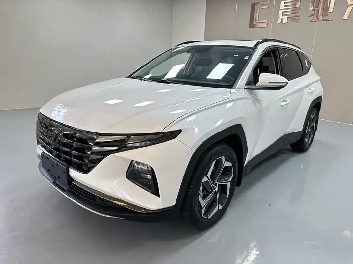 Tucson 2023 Tucson L 1.5T Auto 2WD LUX Premium