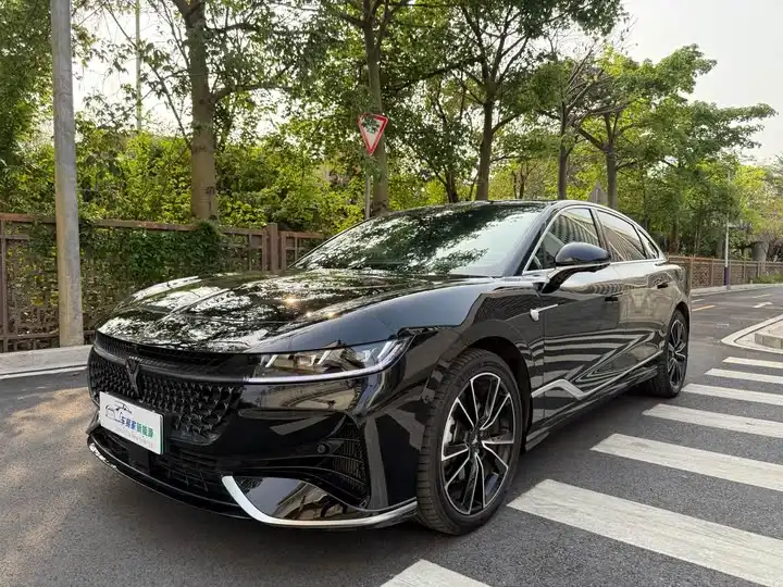 Aramid Chase 2024 PHEV 4WD Ultra Long Range Signature Edition