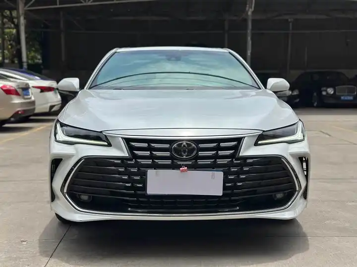 Asiatic Dragon 2022 2.0L Aggressive
