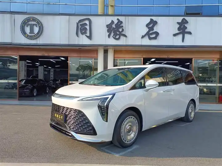 Century 2023 2.0T Six-Seat Embracing World Edition