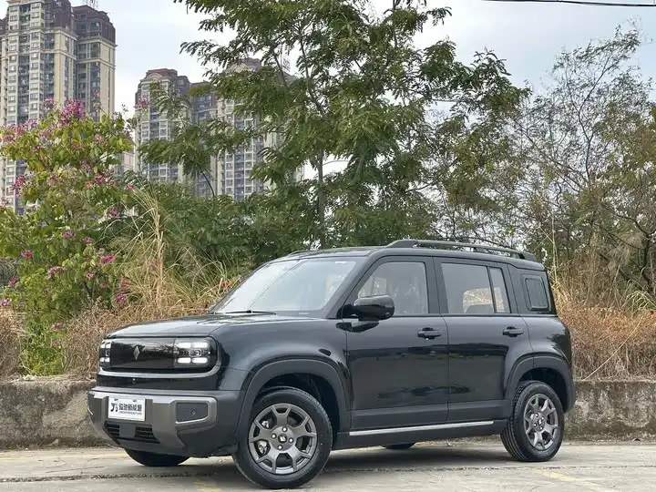 Baojun Yueya Plus 2024 Signature 4-seater
