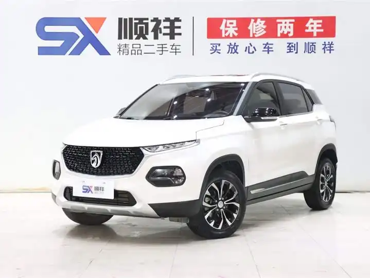 Baojun 510 2019 1.5L Auto Premium National V