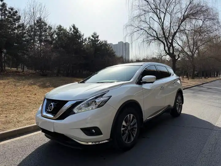 Loulan 2019 2.5L XL 2WD Intelligent Luxury Edition State V