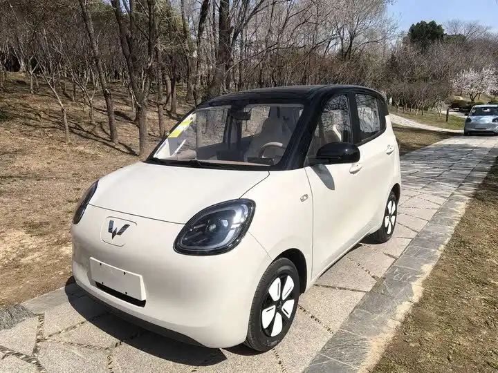 Acer MINIEV 2025 4-Door Pegasus+ model year