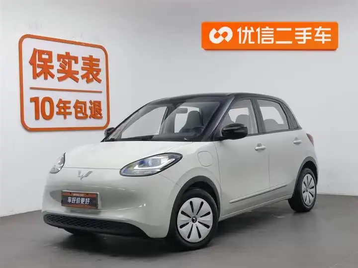 Wuling Colorado 2023 333km Express